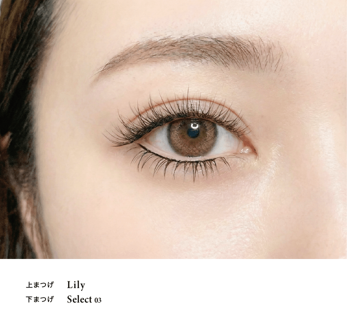 Majilash Select 03 - MAJISHOP